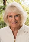 Camilla Queen Consort