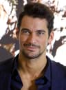 David Gandy