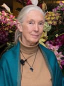 Jane Goodall