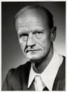 Johan Borgen