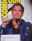 Michael Weatherly