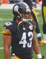 Troy Polamalu